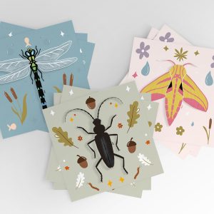 Postkarte Weinschwärmer, Libelle und Bockkäfer als Bundle